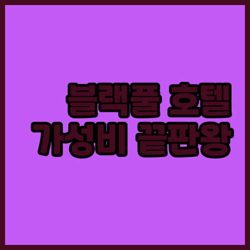 블랙풀 호텔 5곳 비교분석.. 가성비