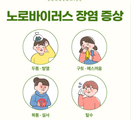 장염과 식중독, 노로바이러스 관련 사진