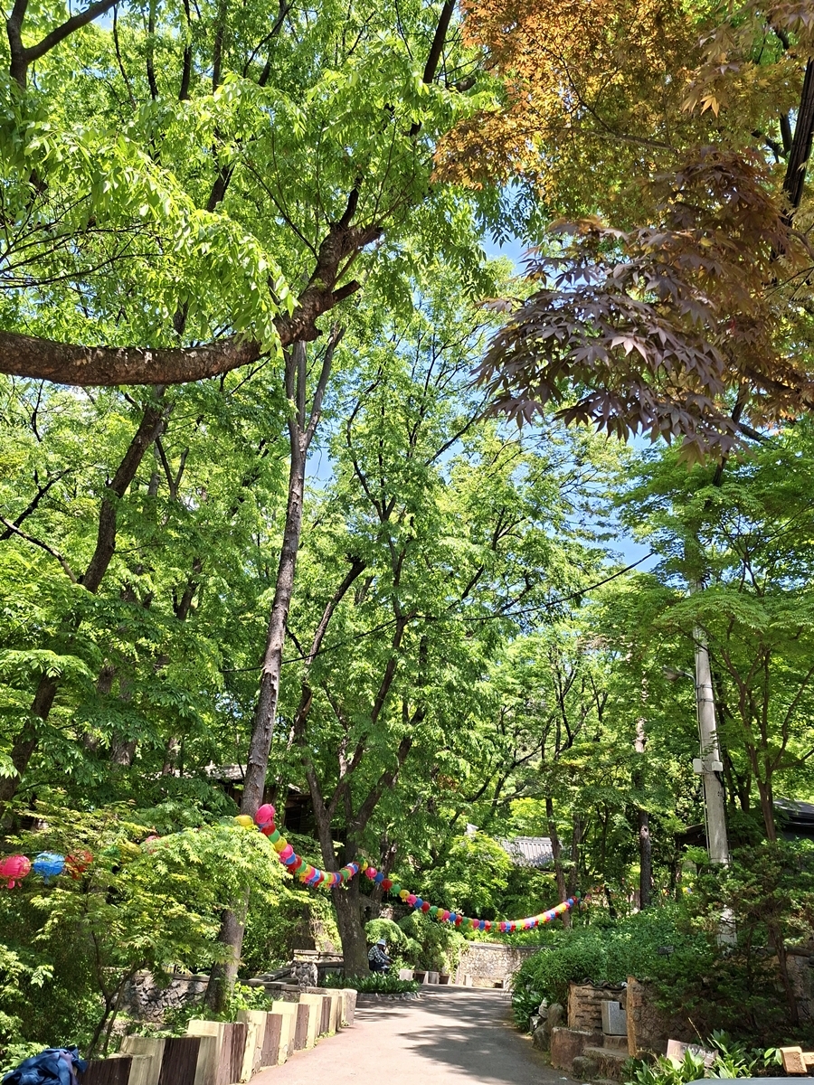길상사-작은숲