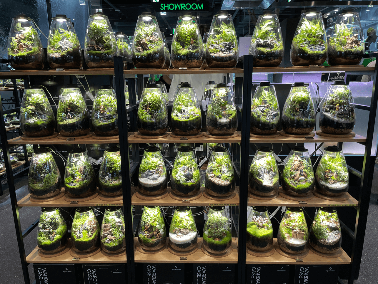 잠심-아쿠아가든