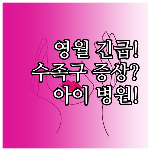 영월 수족구 증상 아이 병원 어디로 ..