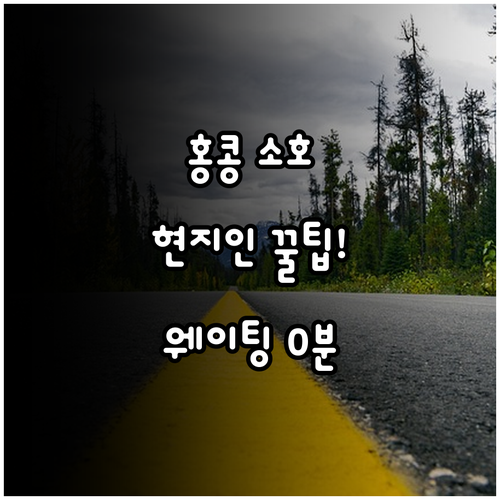 홍콩 소호 현지인 딤섬 맛집 3곳 숙..
