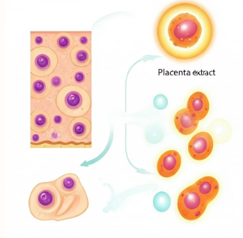태반주사 효능: 이래서 맞는구나!