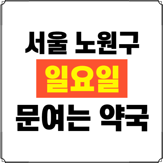 서울 노원구 일요일 약국 ❘ 24시 휴일 주말 문여는 비상 당직 약국