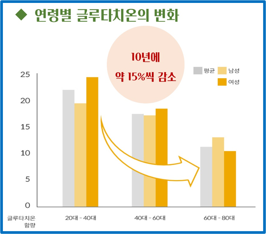 연령별 글루타치온의 변화