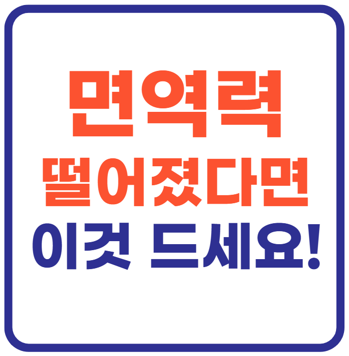 면역력 높이는 영양제!