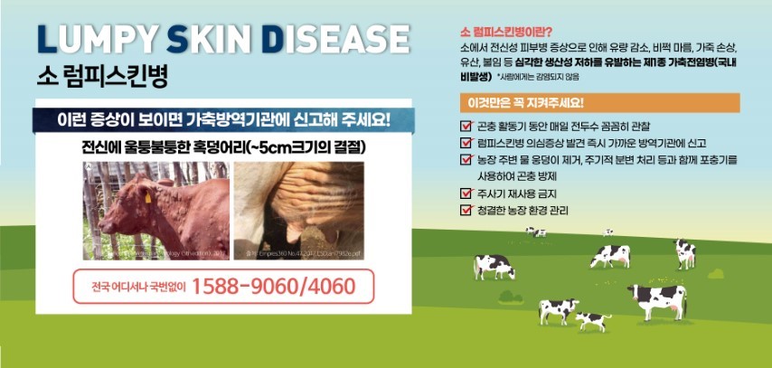 럼피스킨병 관련주