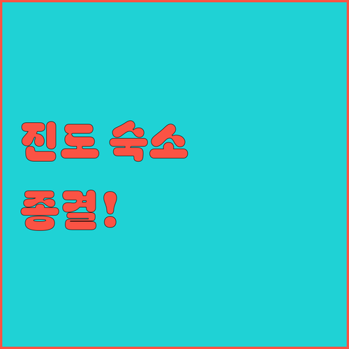 진도군청 앞 거리 사계절 여행 준비물..