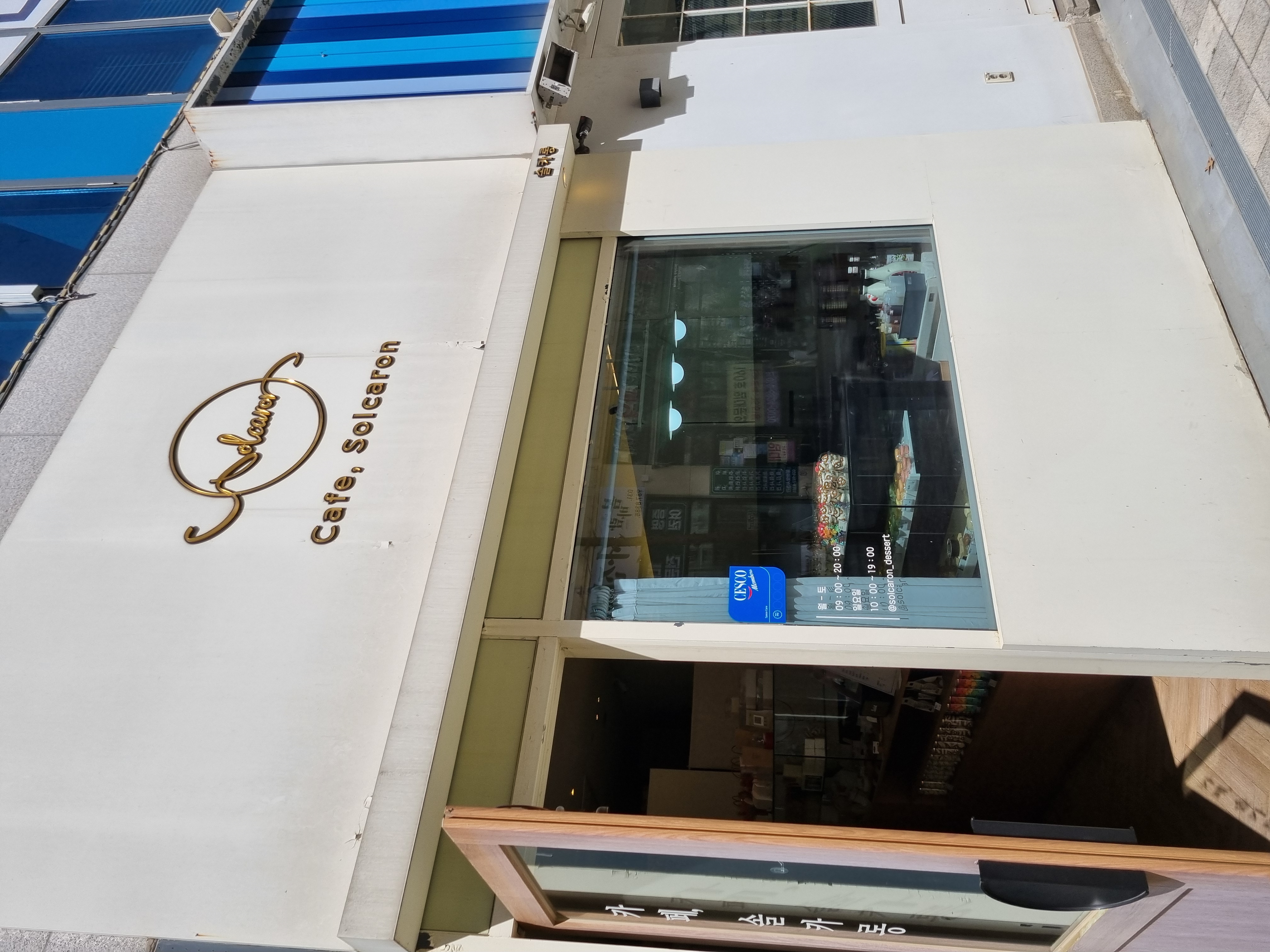 카페 솔카롱 마카롱 맛집