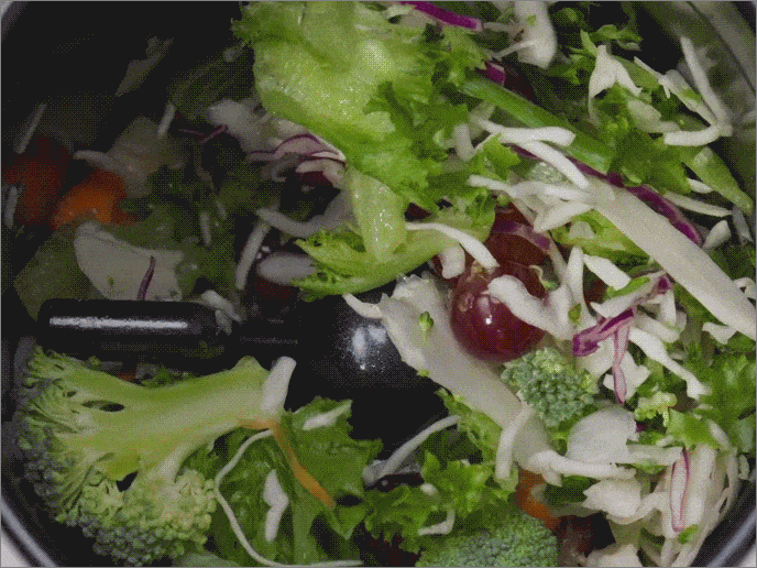 미닉스 더 플렌더