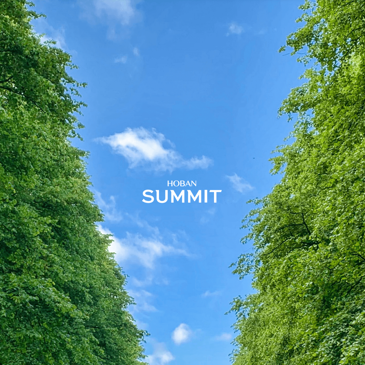 인천 연희공원 호반써밋 파크에디션