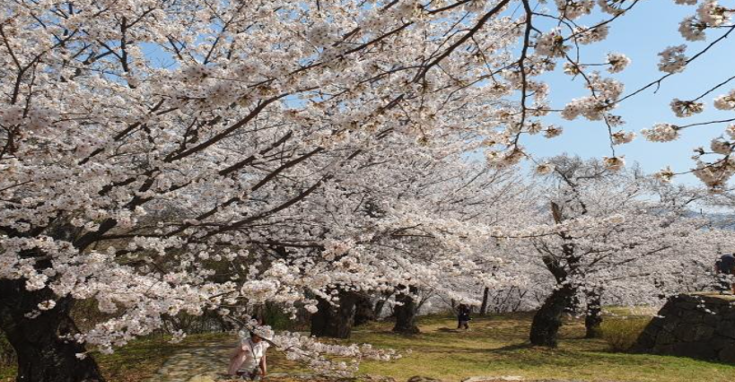 경상남도 4월 축제모음