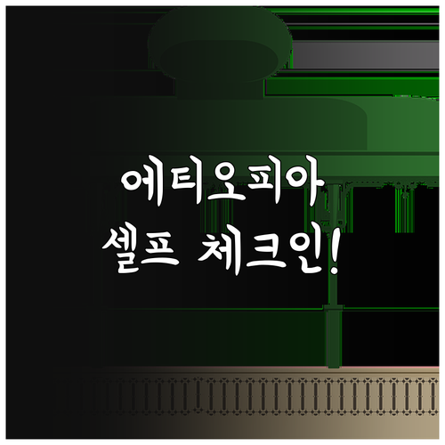 인천공항 에티오피아항공 셀프 체크인 ..