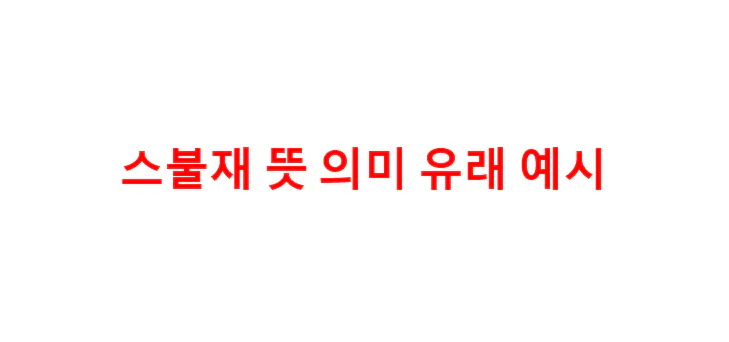 스불재-뜻