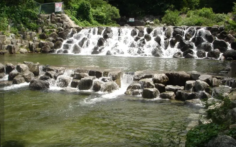 축령산 자연휴양림 물놀이장