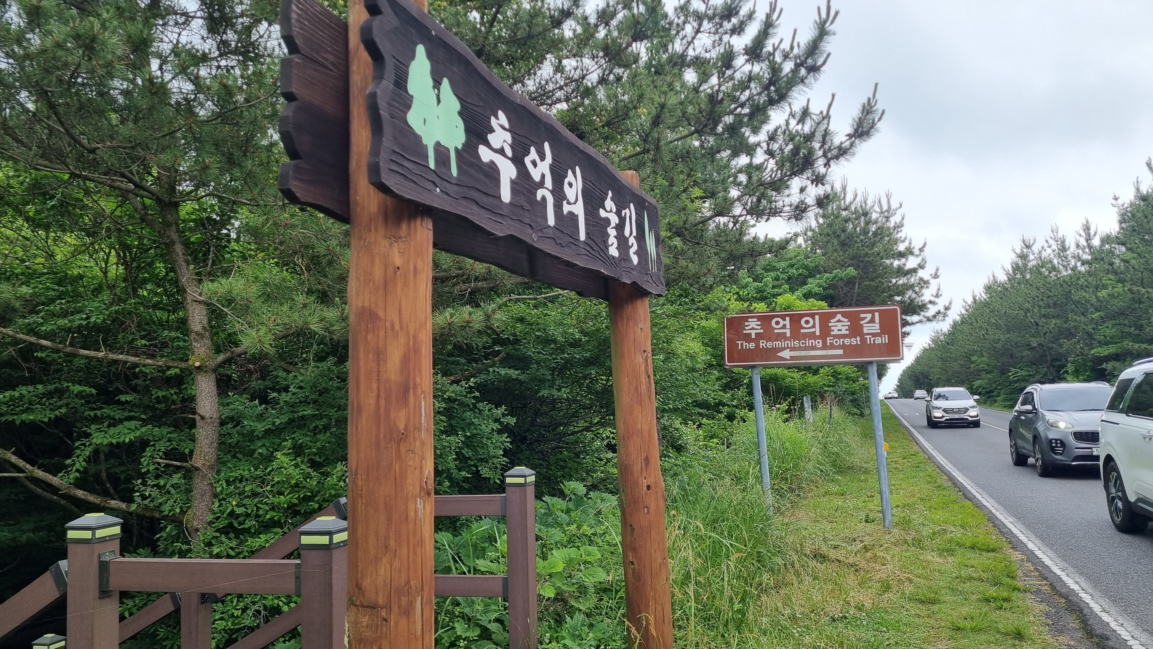 제주 추억의 숲길