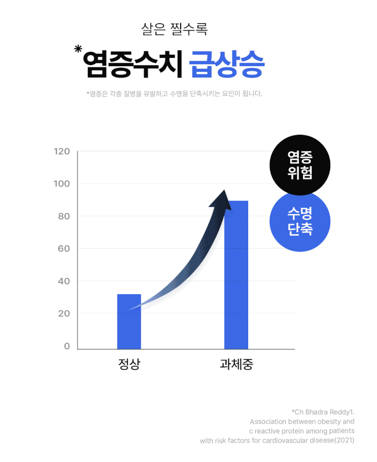 버틀랩 AF균주 항염유산균 LF42프로바이오틱스 장건강과 체중관리