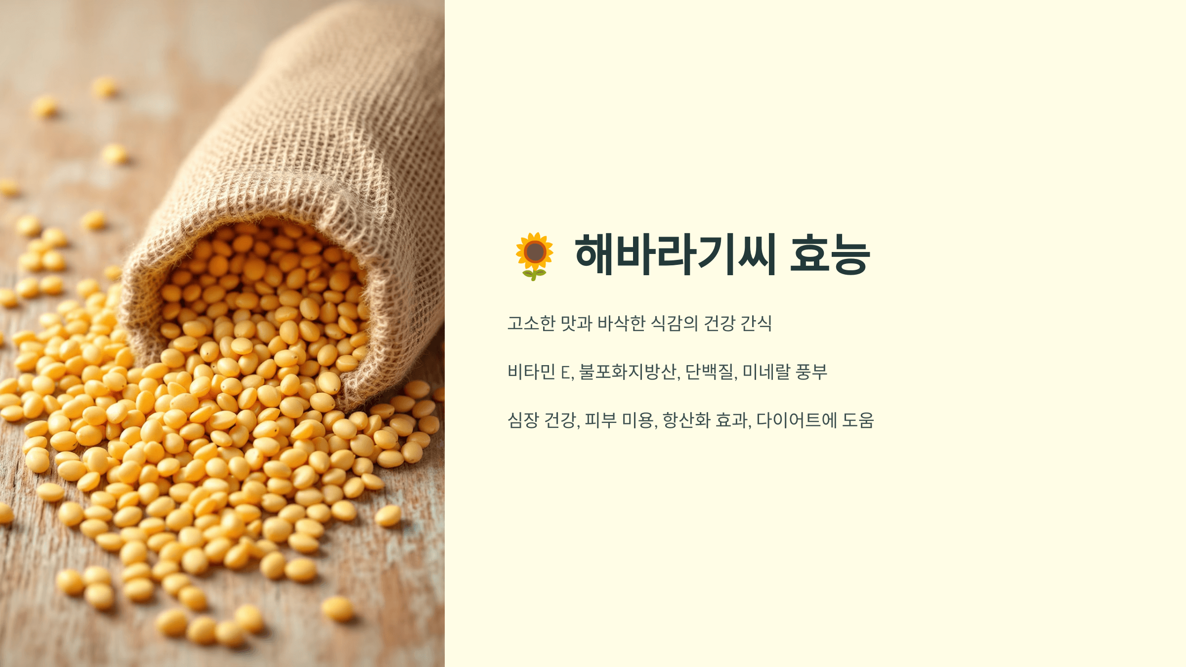 해바라기씨 사진입니다.