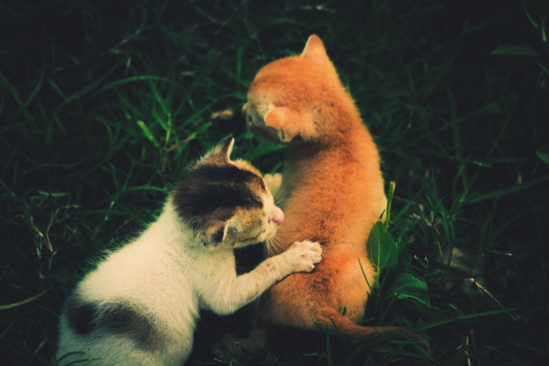 Integration.