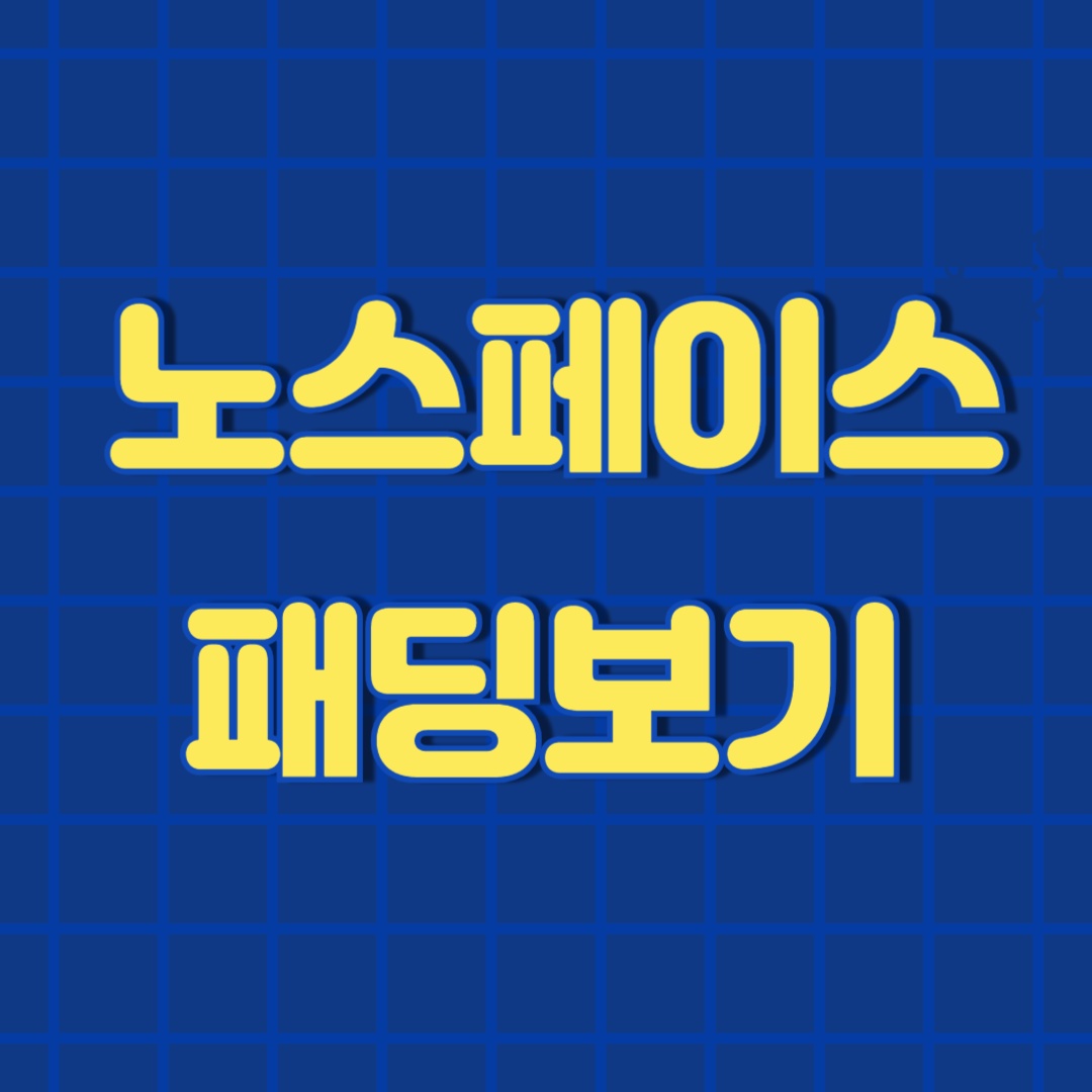 노스페이스 패딩 주요 특징