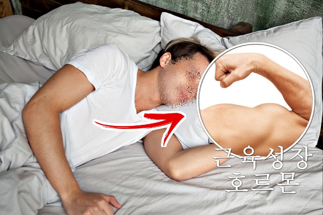 숙면, 근육량 늘리는 방법, 근육 부자, 근감소증 좋은 음식 운동, 건강 팁줌 매일꿀정보