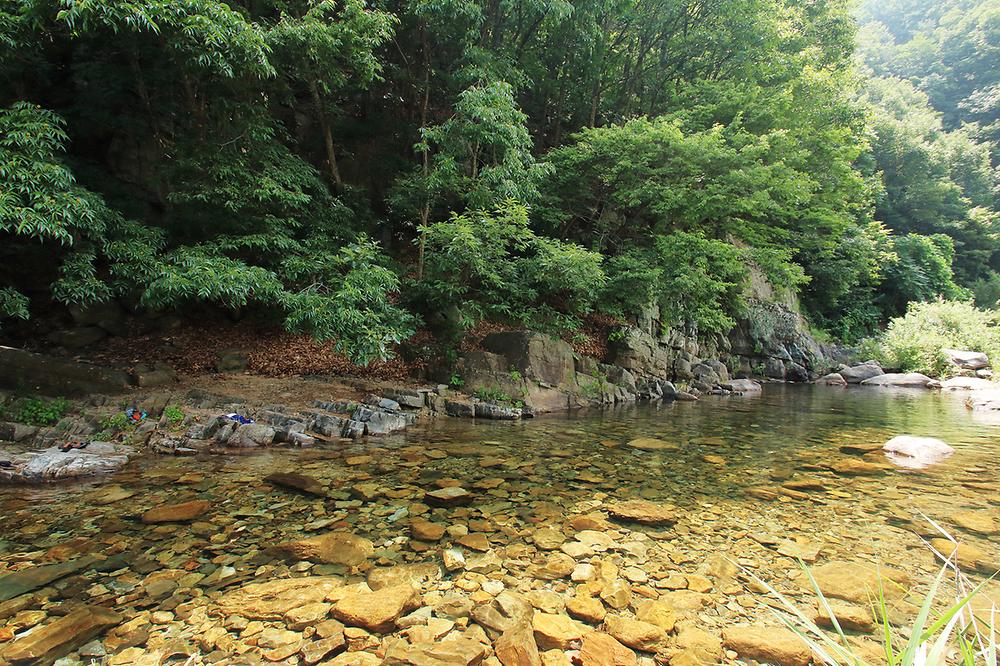 경북 치산관광지 카라반캠핑장 소개