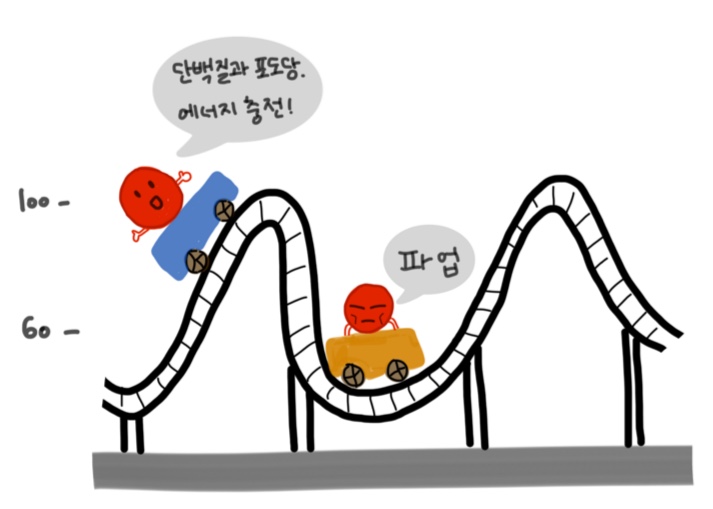 혈당 그래프