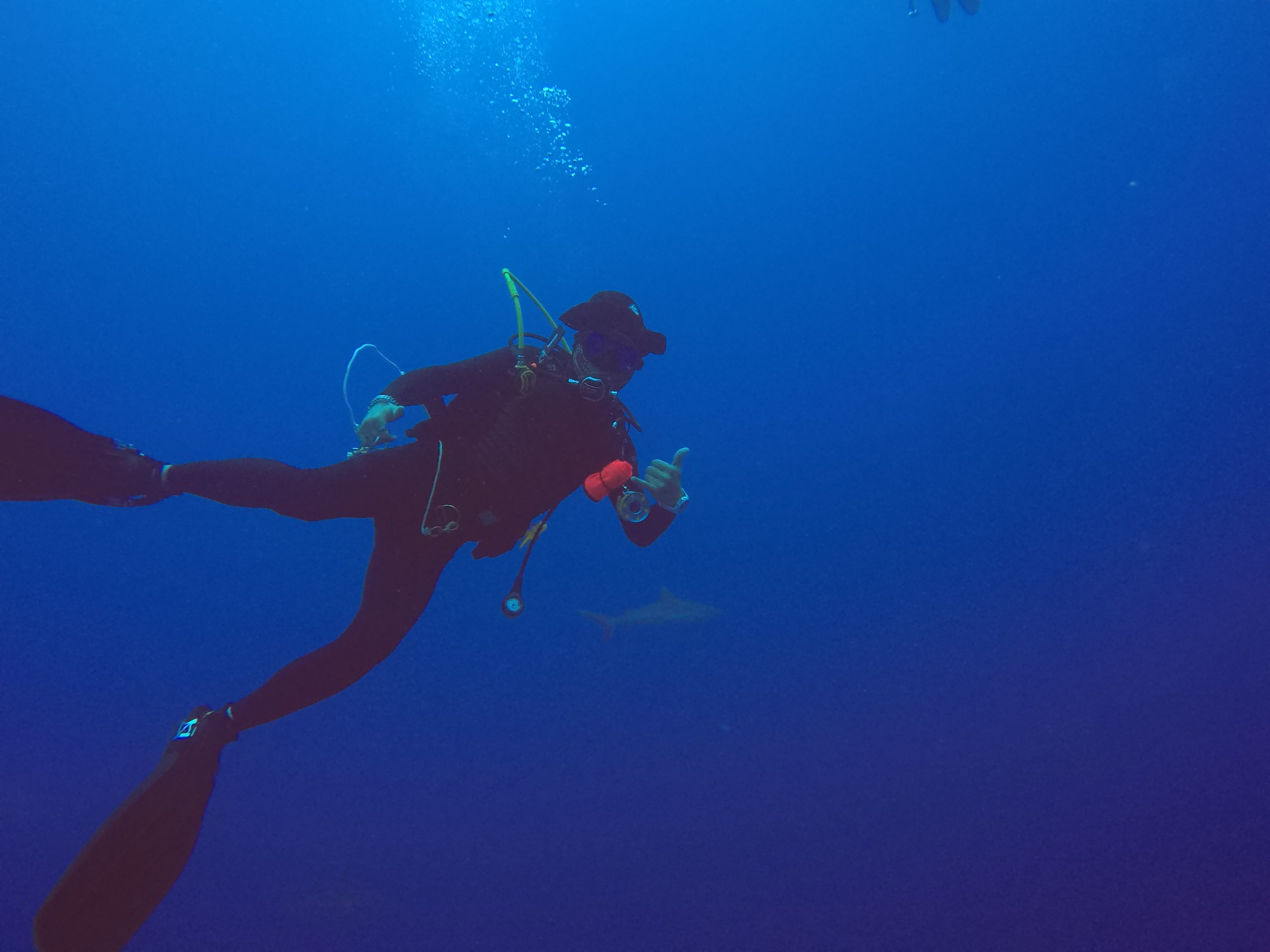 스쿠버다이빙 갈증 관련 사진