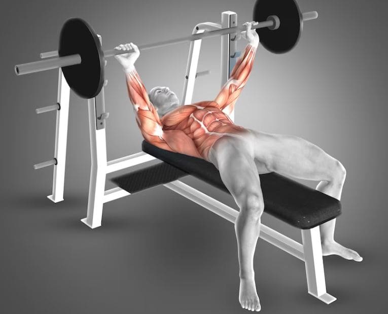 벤치프레스 이미지