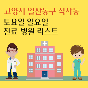 고양시 일산동구 식사동 토요일 일요일 진료 병원 리스트