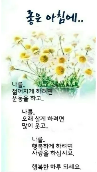 아침 인사말 이미지 모음 밝고 따뜻한 하루 인사 문구 정리_19