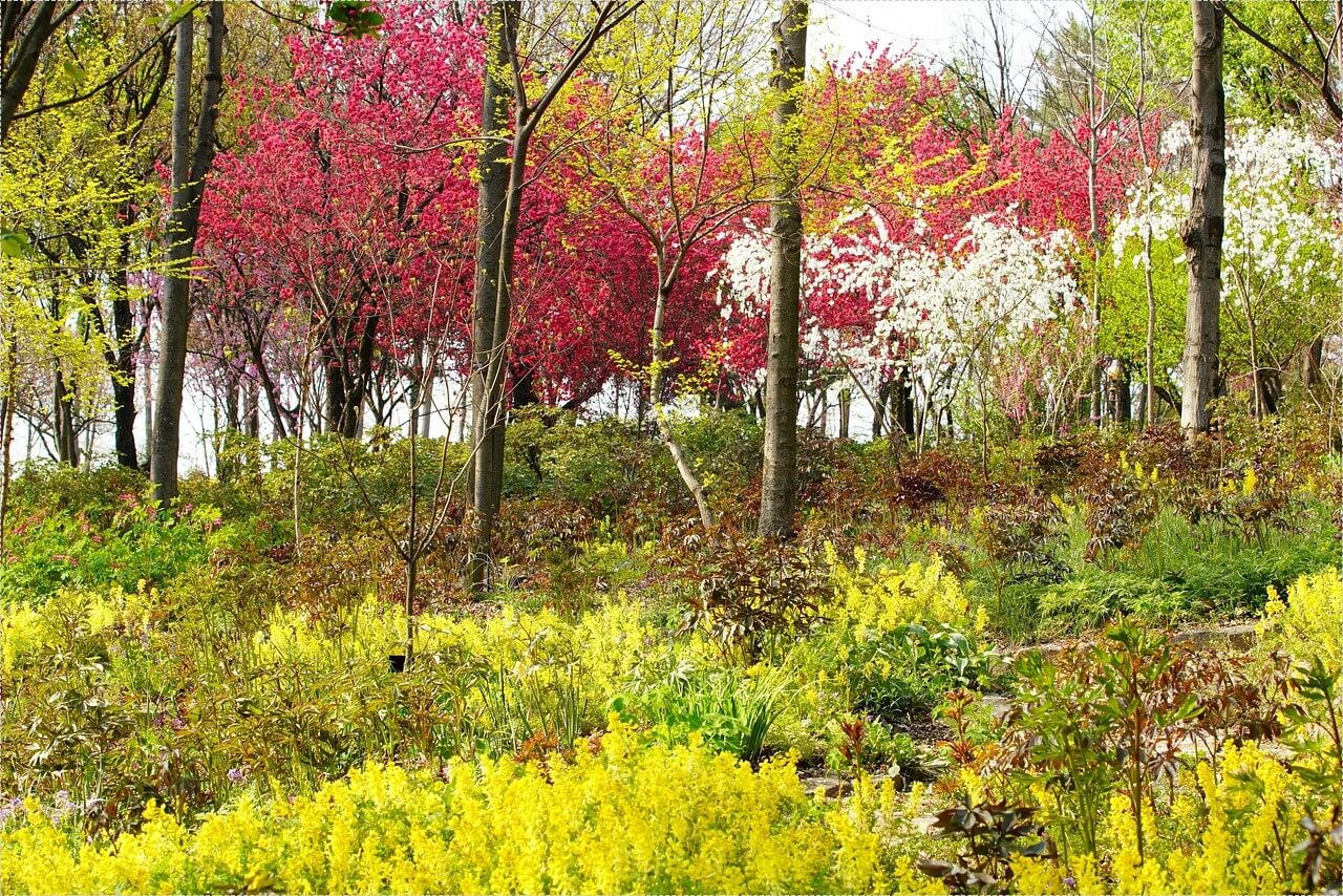 하나은행 정기예금 금리