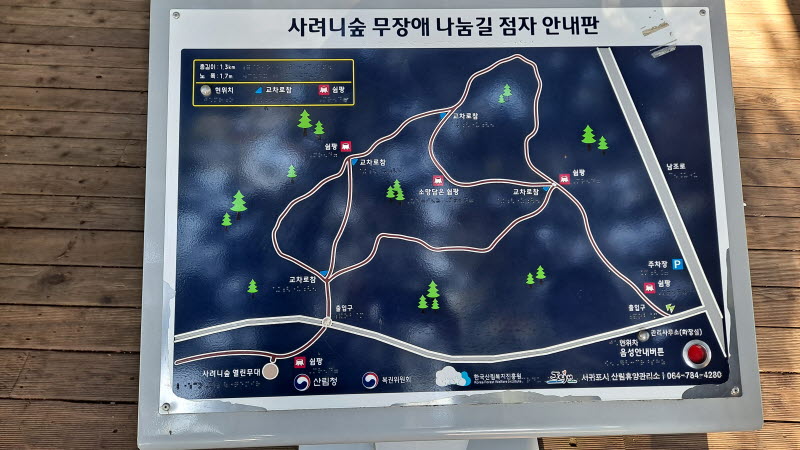 제주_사려니숲길