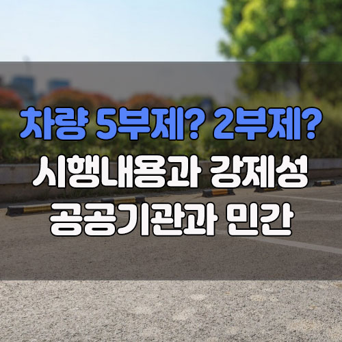 차량2부제 5부제 차이 시행 강제서 공공기관 공영주차장 주차 01