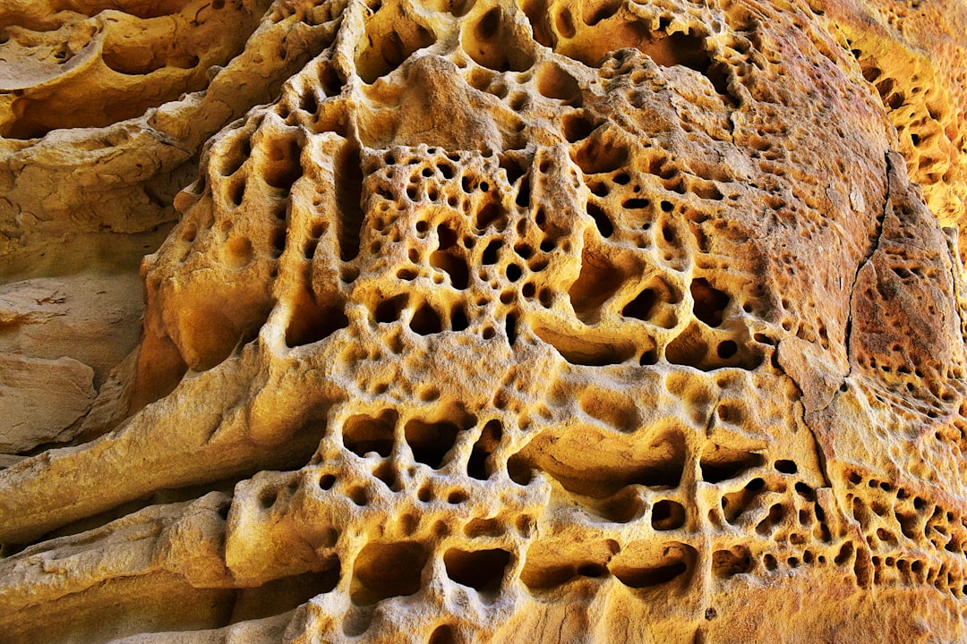 Osteoporosis