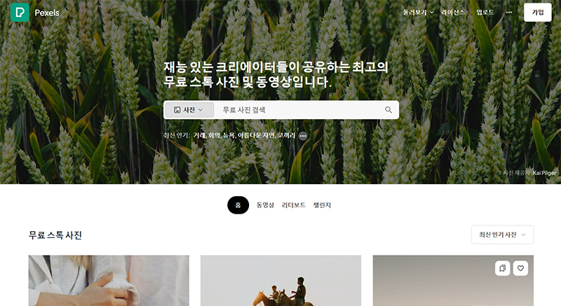 펙셀 이미지