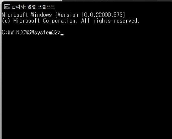 관리자 권한으로 실행 화면