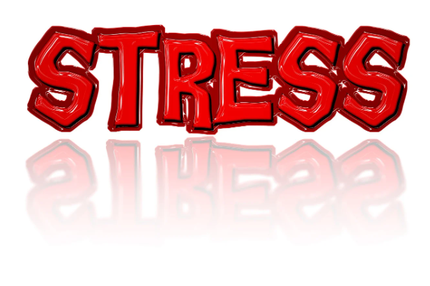 스트레스