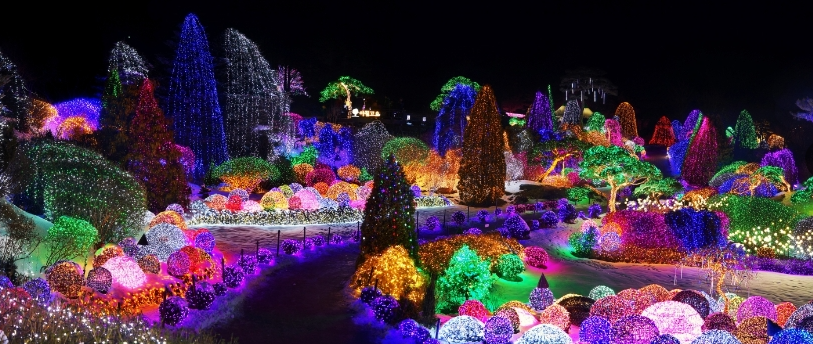 오색별빛정원전