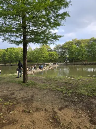 담양 대나무 축제 죽녹원