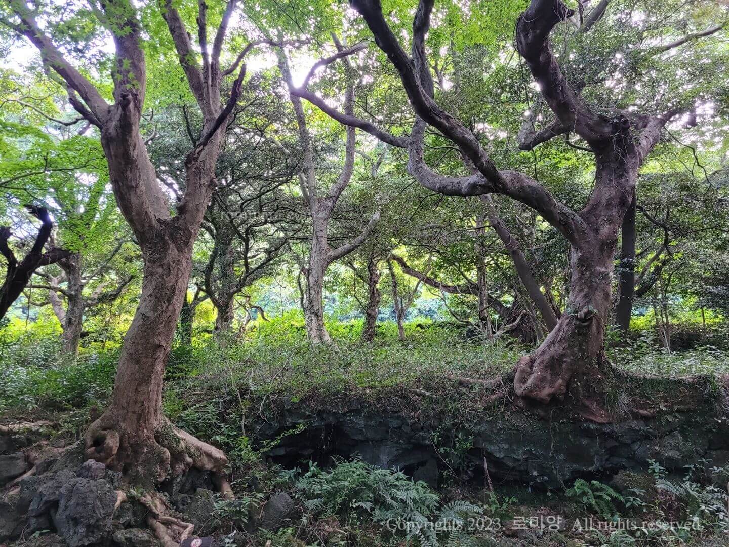 제주여행 2박3일 추천코스