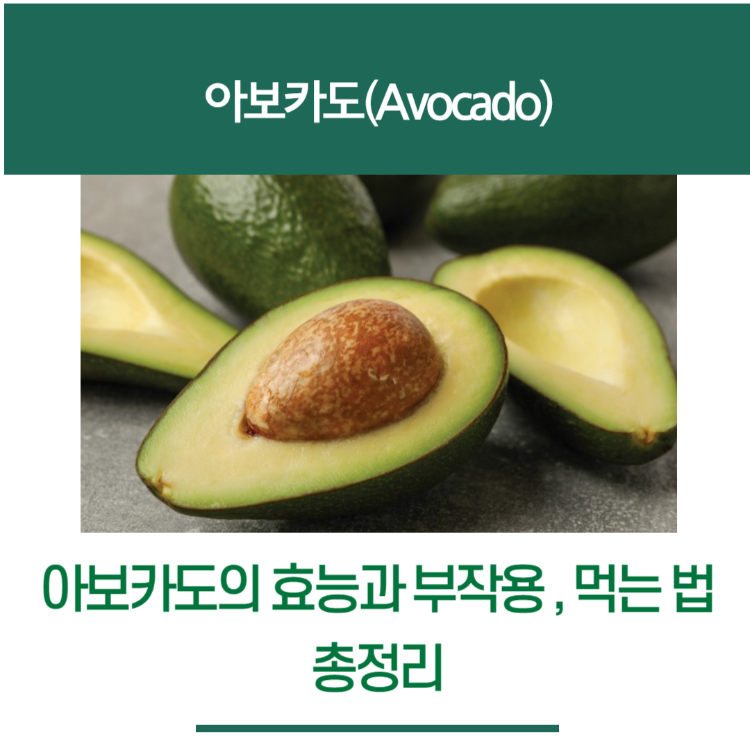 아보카도 효능, 부작용, 먹는법