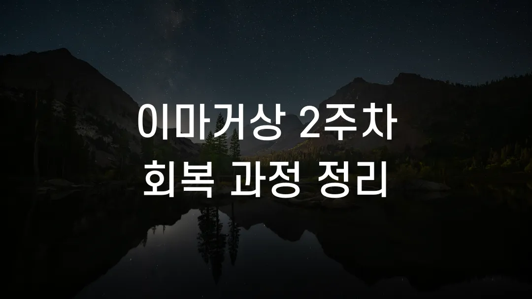 이마거상 2주차 회복 과정 정리