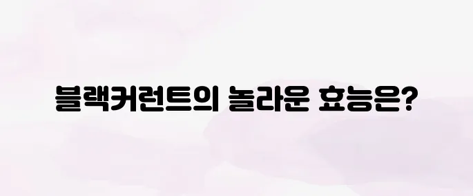 블랙커런트 효능│눈 건강·항산화에 좋은 수퍼베리 정리