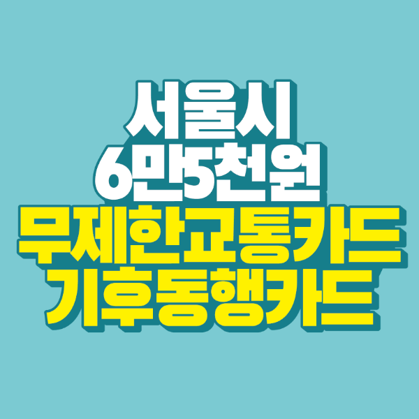 썸네일-기후동행카드