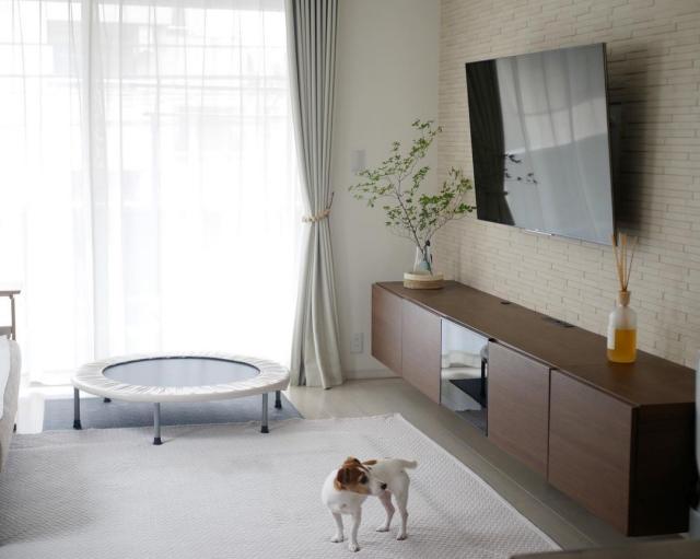 tv 청소 손자국 지우기 물티슈,팁줌