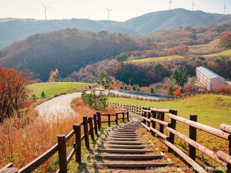 전국 단풍명소