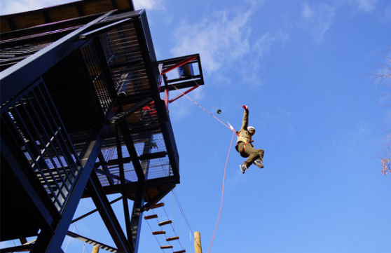 태백가볼만한곳