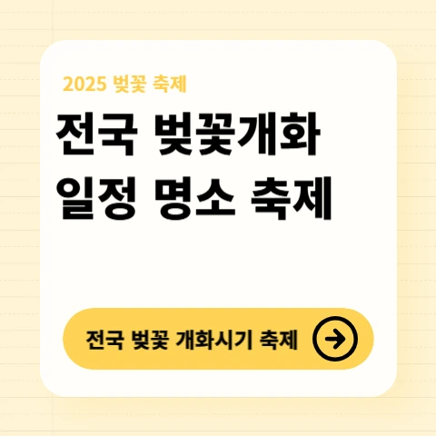전국-벚꽃-개화-만개-일정-벚꽃-명소-축제