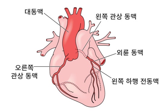 심근경색 전조증상 체크리스트 &ndash; 놓치면 생명 위협됩니다 관련 사진